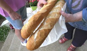 Cambron : la tournée de pain touche à sa fin...