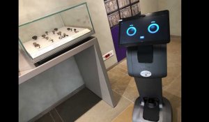 VIDÉO. Au Mans, un robot dans le musée Jean-Claude-Boulard - Carré Plantagenêt