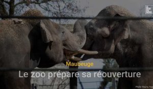 Le zoo de Maubeuge prépare sa réouverture 2023