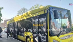 Mobilité en Hauts de Flandre : et si une ligne de bus gratuit était mise en place ? 