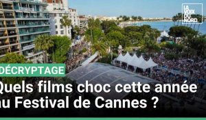 Quels films choc cette année au Festival de Cannes ?