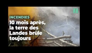 En Gironde, la terre brûle toujours sous des feux invisibles