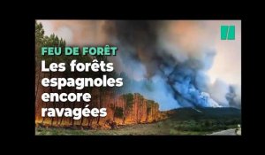Les images impressionnantes du feu de forêt qui ravage le sud-ouest de l’Espagne