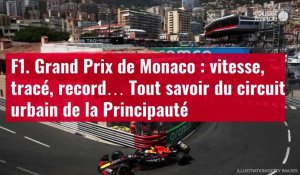 VIDÉO. F1. Grand Prix de Monaco : vitesse, tracé, record… Tout savoir du circuit urbain de