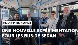 Sedan: quatre bus roulent avec un carburant 100% végétal