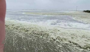 À Wimereux, la tempête provoque des accumulations de mousse sur la plage