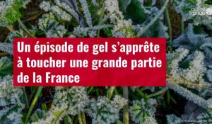 VIDÉO. Un épisode de gel s’apprête à toucher une grande partie de la France