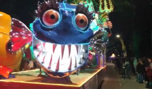 VIDÉO. A Ploërmel, une parade nocturne pour la 97e édition du carnaval