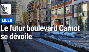 Lille : le futur boulevard Carnot se dévoile