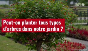 VIDÉO. Peut-on planter tous types d’arbres dans notre jardin ?