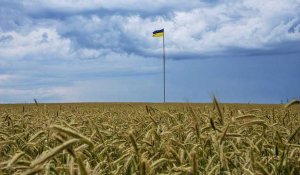 Voici tout ce que l'on sait sur l'accord de l'UE pour garantir le transit des céréales d’Ukraine