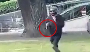 Annecy. Cinq blessés dont 4 enfants dans une attaque au couteau dans un parc au bord du lac