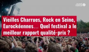 VIDÉO. Vieilles Charrues, Rock en Seine, Eurockéennes… Quel festival a le meilleur rapport