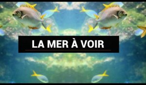 La Mer à Voir - Mai 2023 - Michel Desjoyaux