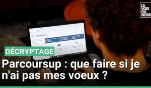 Parcoursup : que faire si vous n'avez pas eu vos voeux ? 