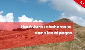 Haut Jura : sécheresse dans les alpages