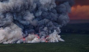 VIDÉO. Le Canada face à des feux de forêts historiques