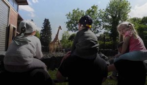 Le zoo de Maubeuge : ce que comprend le ticket d'entrée 