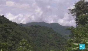 Costa rica : l'exceptionnelle "forêt de nuages" se dissipe