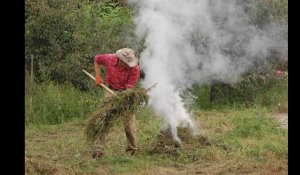 VIDÉO. Puis-je brûler mes déchets verts dans mon jardin ? 