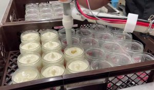 Fretin et Sainghin-en-Mélantois : comment l’entreprise Promis Juré fabrique-t-elle ses glaces ?