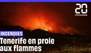 Incendies à Tenerife : Plus de 14.000 hectares partis en fumée