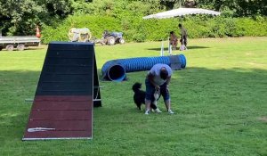 Bapaume : la fête du chien s’adapte aux fortes chaleurs