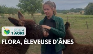 1 jour 1 agri : Flora, éleveuse d'ânes dans la Marne 