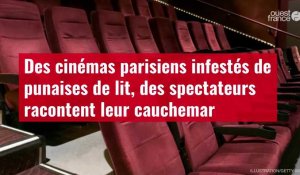 VIDÉO. Des cinémas parisiens infestés de punaises de lit, des spectateurs racontent leur cauchemar