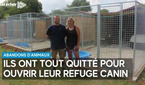 Abandons d'animaux : ce couple ouvre son propre refuge canin