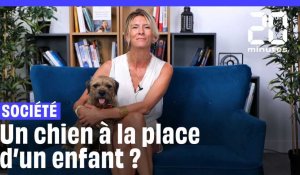 « J'ai choisi d'avoir un chien et pas un enfant », le témoignage de la vétérinaire Hélène Gateau