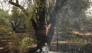Au moins 26 migrants présumés morts dans des incendies dans le nord-est de la Grèce