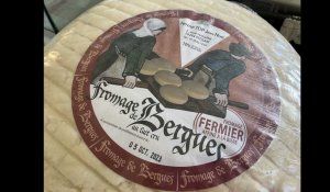 Comment déguster autrement les fromages des Hauts de Flandre avec la visite du producteur à Pitgam
