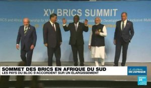 Les BRICS s'accordent sur un élargissement du bloc