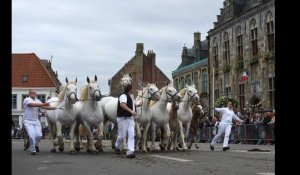Karyole feest à Hondschoote : comment se préparent les chevaux à la parade ?