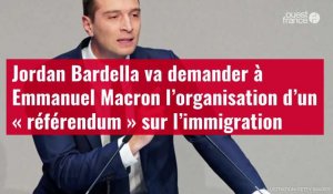 VIDÉO. Jordan Bardella va demander à Emmanuel Macron l’organisation d’un « référendum » sur l'immigration