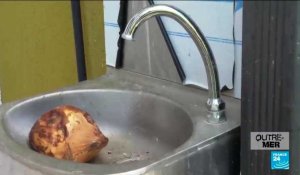 Crise de l'eau à Mayotte : les robinets coupés deux jours sur trois