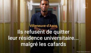 Villeneuve-d'Ascq : ils refusent de quitter leur résidence universitaire... malgré les cafards