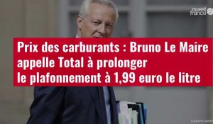 VIDÉO. Prix des carburants : Bruno Le Maire appelle Total à prolonger le plafonnement à 1,99 euro le litre
