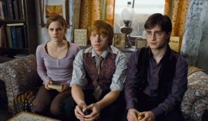 Harry Potter et les reliques de la mort : 1ère partie