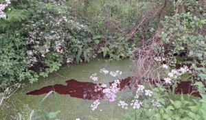 Cambrésis : 1000 litres de fuel dans une rivière  après une fuite d’une cuve dans des canalisations