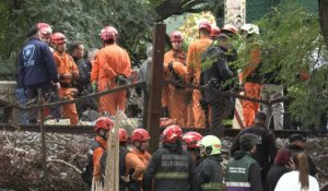 Argentine : les secours sur les lieux d'une collision entre deux trains