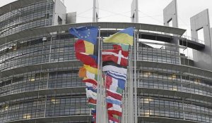 Elections européennes : quels sont les pouvoirs du Parlement européen ?