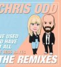 We Used to Have It All (The Remixes)