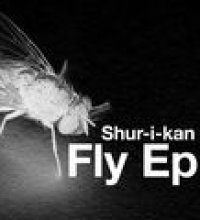 Fly EP