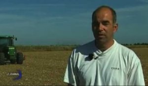 Céréales : Grosse récolte mais petits prix (Vendée)