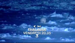 Thalassa : la ruée vers l'Arctique  (bande-annonce)
