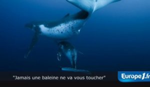 "Jamais une baleine ne va vous toucheré