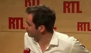 T.Pastureau : "Pour Villepin, Sarkozy est un petit porc"