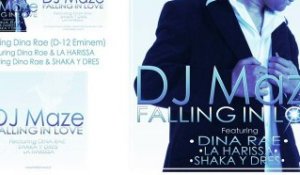 DJ MAZE: FALLING IN LOVE Feat Dina Rae (Eminem-D12)